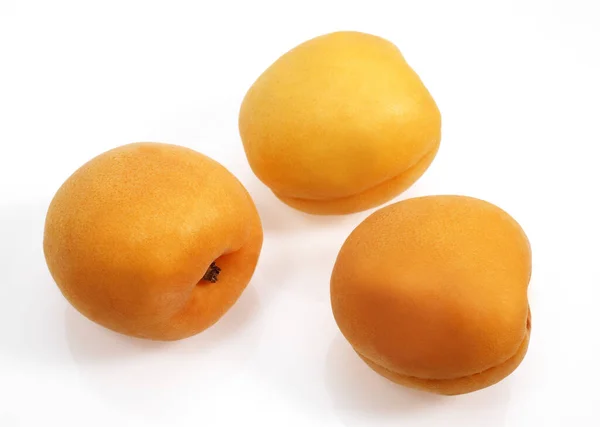 Apricot Prunus Armeniaca Fruits White Background — 图库照片