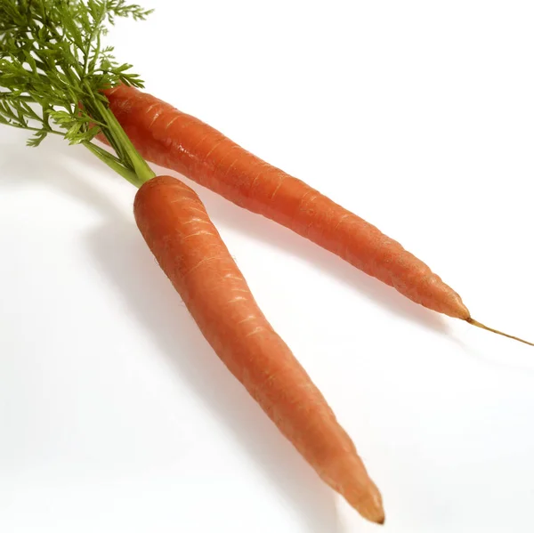 Морква Карота Даусу Овочі Білому Тлі — стокове фото
