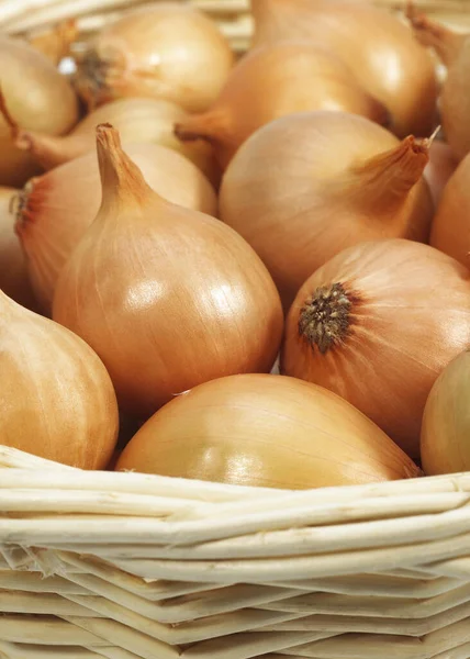 Korb Mit Französischen Zwiebeln Namens Grelot Allium Cepa — Stockfoto