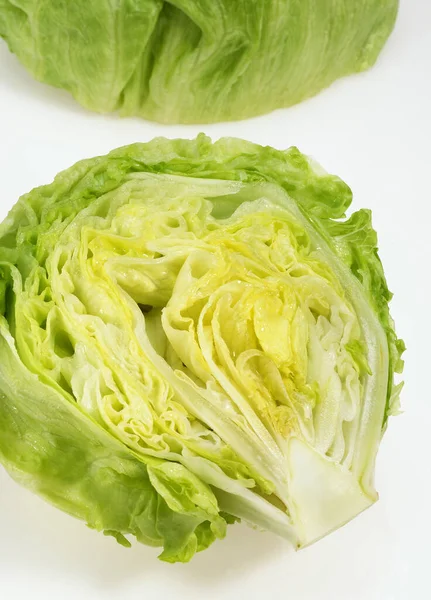 Ensalada Iceberg Lactuca Sativa Contra Fondo Blanco —  Fotos de Stock