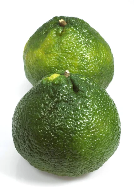 醜いグレープフルーツ 柑橘類Xtangelo 白を背景に果物 — ストック写真