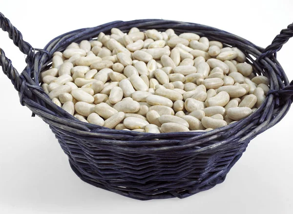 French White Kidney Beans Mogette Vendee Phaseolus Vulgaris — стокове фото