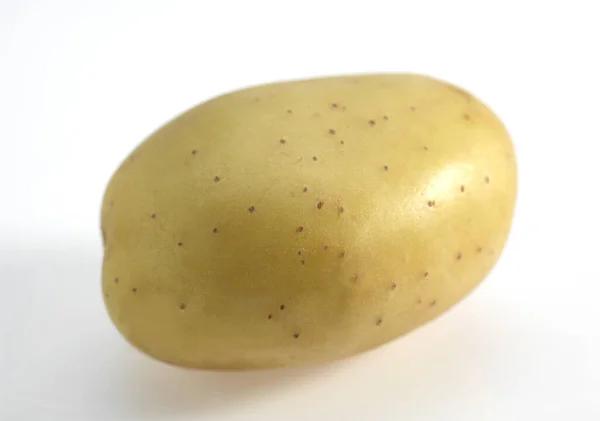 Mona Lisa Potato Solanum Tuberosum Plantaardig Tegen Witte Achtergrond — Stockfoto