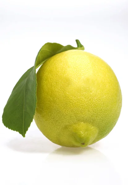 Gul Citron Citrus Limonum Frukt Mot Vit Bakgrund — Stockfoto