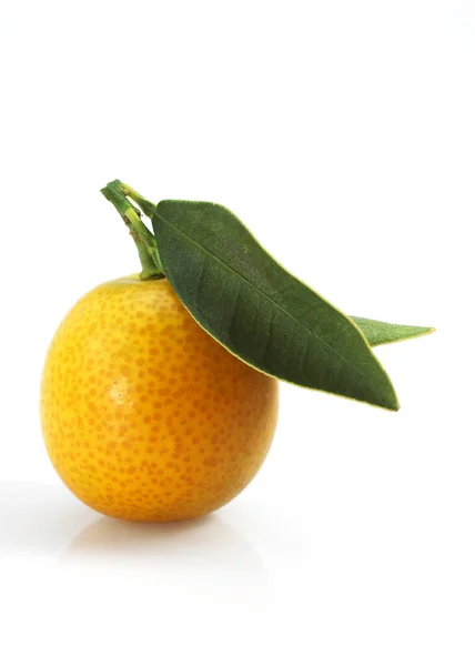 Kumquat Luck Ella Margarita Fruits White Background — 图库照片