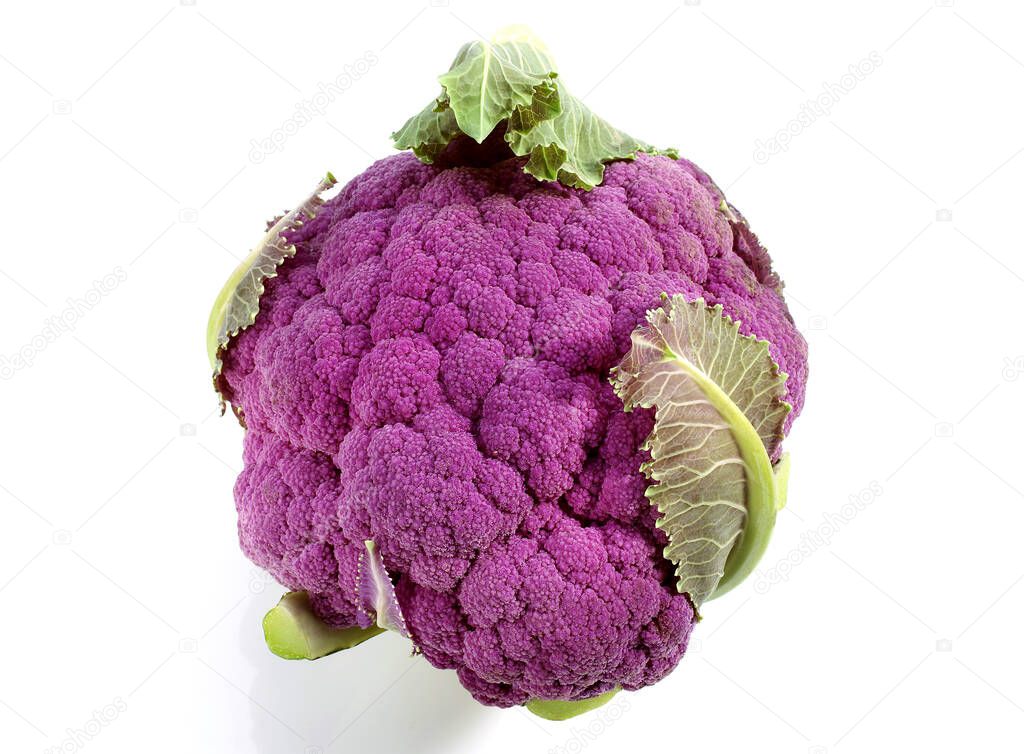 Purple Cauliflower, brassica oleracea, Vegetable against White Background   