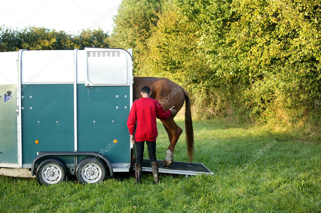 Man with his Selle Francais Horse entering into a Horse trailer  