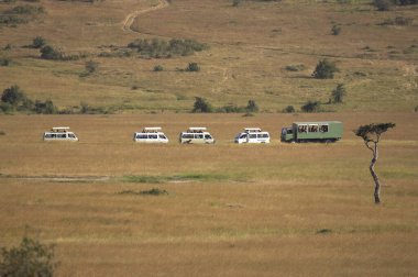 Safari Vans 'taki Turistler, Kenya' daki Masai Mara Park   