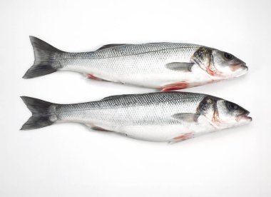 Bass, dicentrarchus labrax, Fresh Fishes against White Background  clipart