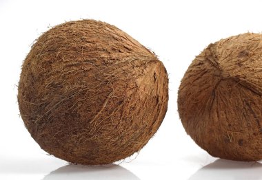 Hindistan cevizi, cocos nucifera, meyveler beyaz arka plana karşı  