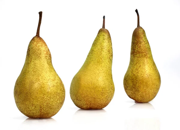 Конференция Pear Pyrus Communis Фрукты Белом Фоне — стоковое фото