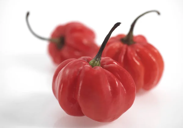 Martinique Hot Pepper Natuurlijke Achtergrond — Stockfoto