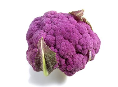 Mor Calliflower, Beyaz Arkaplan 'a karşı brassica oleracea   