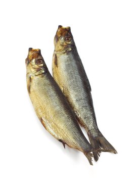 Tütsülenmiş ringa balığı ya da Bouffi kabarcığı, clupea harengus  