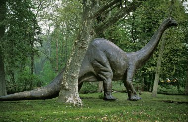 Diplodocus, Geç Jurasik Dönemden Dev Ot Sauropodları    