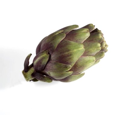 Ak Arkaplan 'a karşı cynara scolymus 