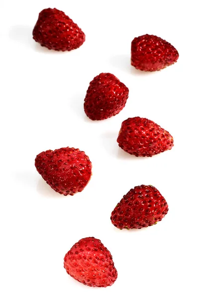 Wilde Aardbeien Fragaria Vesca Tegen Witte Achtergrond — Stockfoto