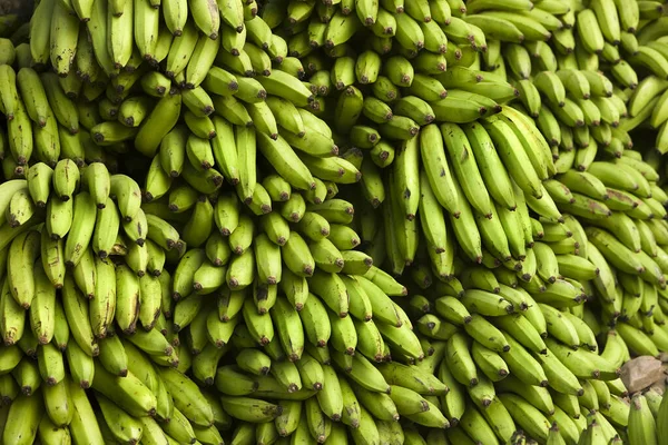 秘鲁Atalaya村香蕉 — 图库照片