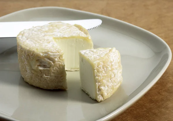 Fransız Crottin Keçi Peyniri Tabakta — Stok fotoğraf