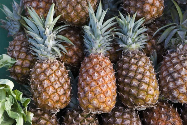 Piñas Ananas Comosus Mercado Frutas Normandía — Foto de Stock