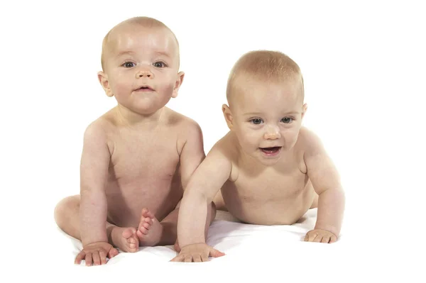 白を背景にした双子の赤ちゃん — ストック写真