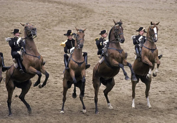 Cadre Noir Equipo Exhibición Ecuestre Con Sede Ciudad Saumur Oeste —  Fotos de Stock