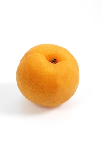 Apricot Prunus Armeniaca Tegen Witte Achtergrond — Stockfoto