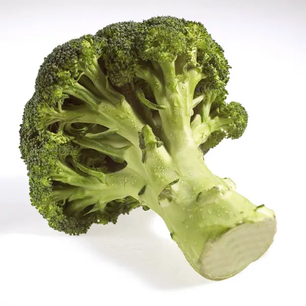 Broccoli Kål Brassica Oleracea Mot Vit Bakgrund — Stockfoto