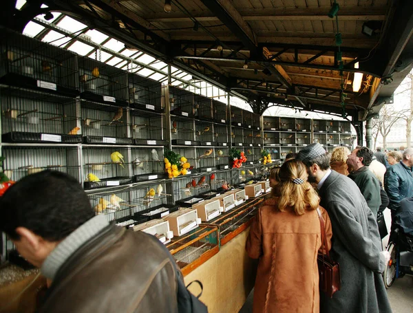 Marché Aux Oiseaux Ile Cité Paris — Photo