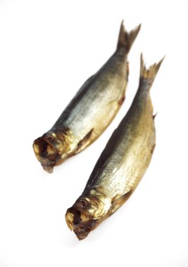 Tütsülenmiş ringa balığı ya da Bouffi kabarcığı, clupea harengus  