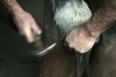 Demirci ve Percheron, Sürükleyici At Nalı  