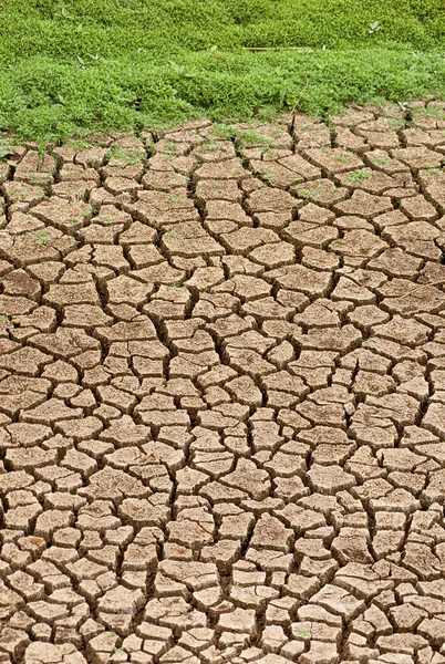 Dryness Kenya Natural Background — Stock Photo, Image