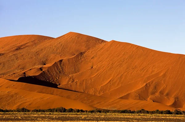 Namib Naukluft Park Sossusvlei Dunas Namíbia — Fotografia de Stock