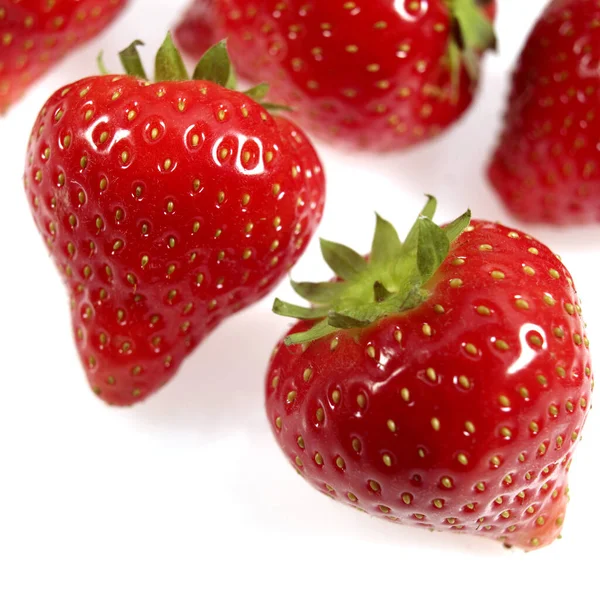 Aardbeien Fragaria Vesca Vruchten Tegen Witte Achtergrond — Stockfoto
