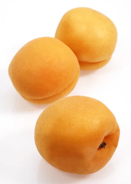 Apricots Prunus Armeniaca White Background — 图库照片