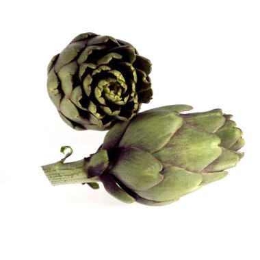 Ak Arkaplan 'a karşı cynara scolymus 