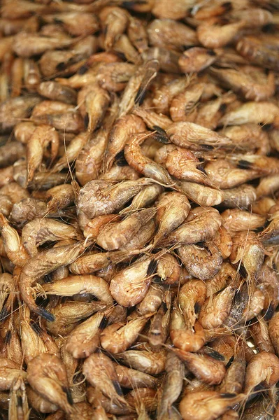 Fresh Shrimps Crangon Crangon — Stock Photo, Image