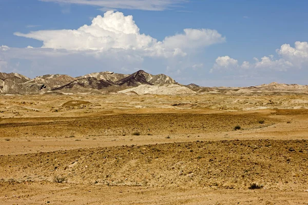 Désert Rocheux Près Walvis Bay Namibie — Photo