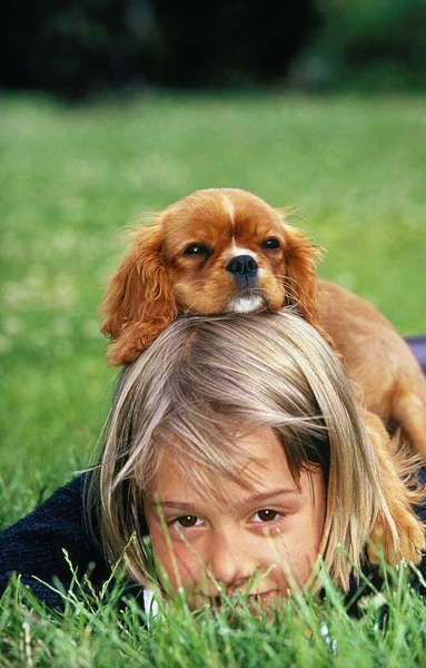 Menina Com Cavalier Rei Charles Spaniel Pup — Fotografia de Stock