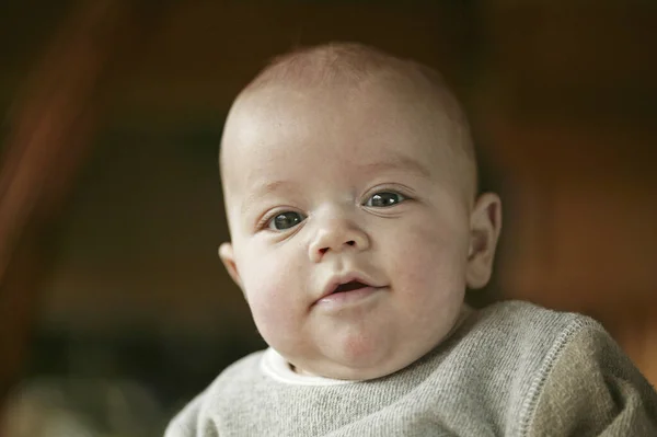 Portret Van Een Jongetje — Stockfoto