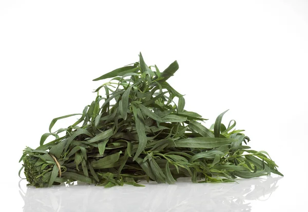 Dragon Artemisia Dracunculus Mot Vit Bakgrund — Stockfoto