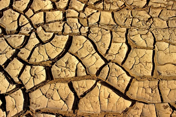 Seca Deserto Perto Walvis Bay Namíbia — Fotografia de Stock