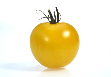 Sarı domates, solanyum lycopersicum Beyaz Arkaplan 'a karşı  