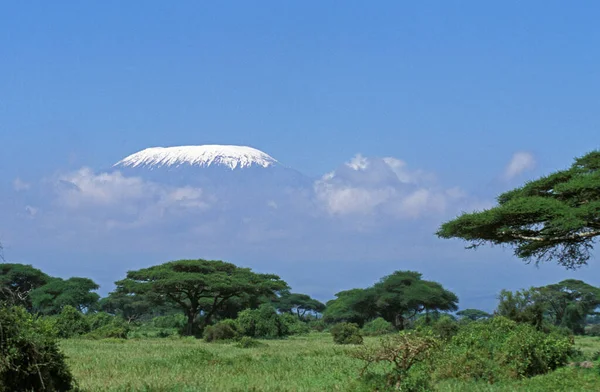 Paisagem Tanzânia Perto Montanha Kilimandjaro — Fotografia de Stock