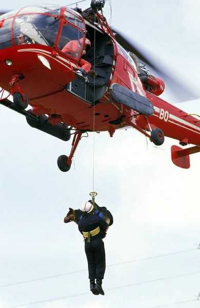 Duitse Herder Hond Tijdens Een Rampentraining — Stockfoto