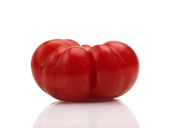 Camone Tomato Solanum Lycopersicum Mot Vit Bakgrund — Stockfoto