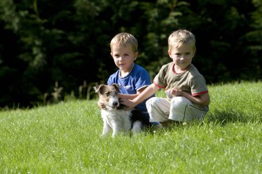 Erkekler ve Köpek Saçlı Tilki Teriyeri  