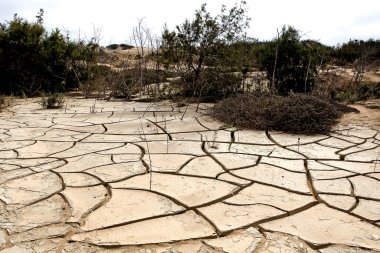 Walvis Körfezi yakınlarındaki çölde kuraklık, Namibya  