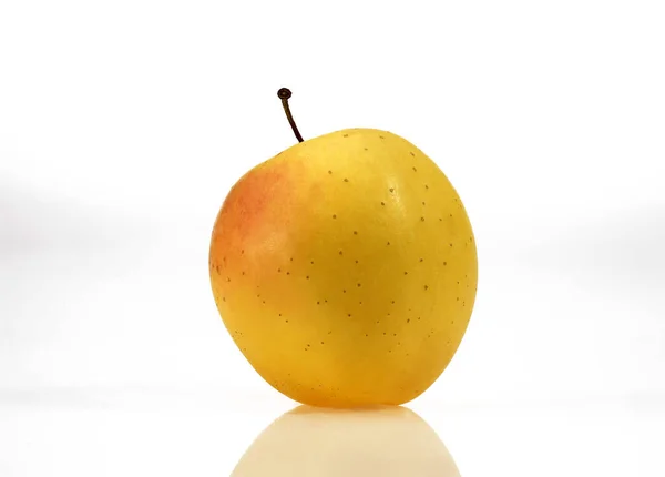 Golden Apple Malus Domestica Contra Fundo Branco — Fotografia de Stock