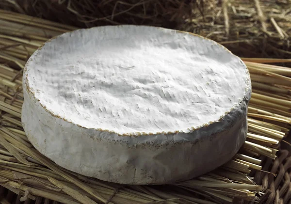 Coulommiers Fransız Peyniri Nek Sütü Nden Üretildi — Stok fotoğraf